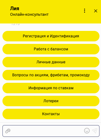 Форма поддержки в БК Bet Boom: обращение по ставке, выплате или промокоду с быстрым ответом